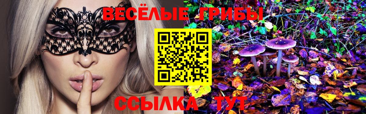 Галлюциногенные грибы Magic Shrooms  Вход с VPN  Избербаш 
